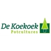 De-Koekoek-Potcultures