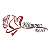 Klümpen-Roses