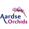 Aardse-Orchids
