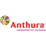 Anthura-BV