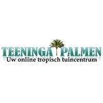 Teeninga-Palmen