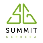 Summit-Gerbera