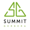 Summit-Gerbera
