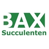 Bax-Succulenten