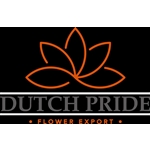 DP-Flower-Export-BV