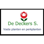 De-Deckers-S