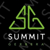 Summit-Den-Houter-Gerbera