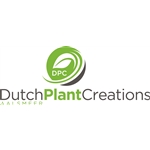 Dutch-Plant-Creations-Aalsmeer-BV