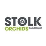 Stolk-Orchids