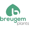 Breugem-Plants-BV