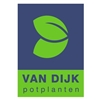 Van-Dijk-Potplanten