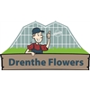 Drenthe-Flowers