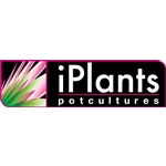iPlants--Potcultures-