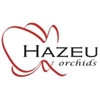 Hazeu-Orchids