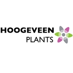 Hoogeveen-Plants-BV
