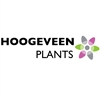 Hoogeveen-Plants-BV