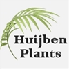 Huijben-Plants