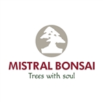 Mistral-Bonsai