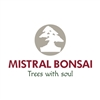 Mistral-Bonsai