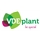 VDE-plant
