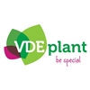 VDE-plant
