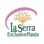 La-Serra-ExclusivePlants