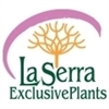 La-Serra-ExclusivePlants