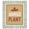 Amigo-Plant