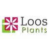 Loos-Plants