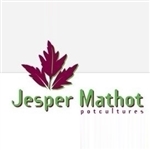Jesper-Mathot-Potcultures