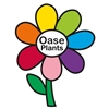 Oase-Plants