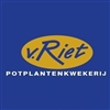 Van-Riet-Potplantenkwekerij