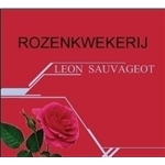 Rozenkwekerij-Leon-Sauvageot