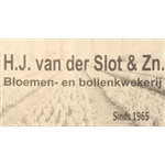 HJ-van-der-Slot-en-zn