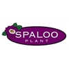 Spaloo-Plant-VOF
