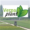 Verpa-Plant