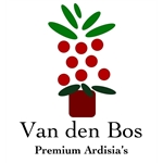 Van-den-Bos-Premium-Ardisias