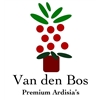 Van-den-Bos-Premium-Ardisias