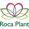 Roca-Plant
