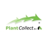 Plant-Collect