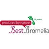 BestBromelia
