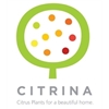 Citrina-Sales