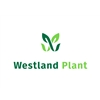Westland-Plant