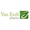 Van-Esch-Plantes
