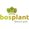 Bosplant