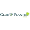 Globo-Plantes-Export-bv