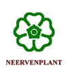 Neervenplant