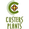 Custers-Plants