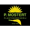 Plantenkwekerij-P-Mostert