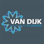 Van-Dijk-Flowers